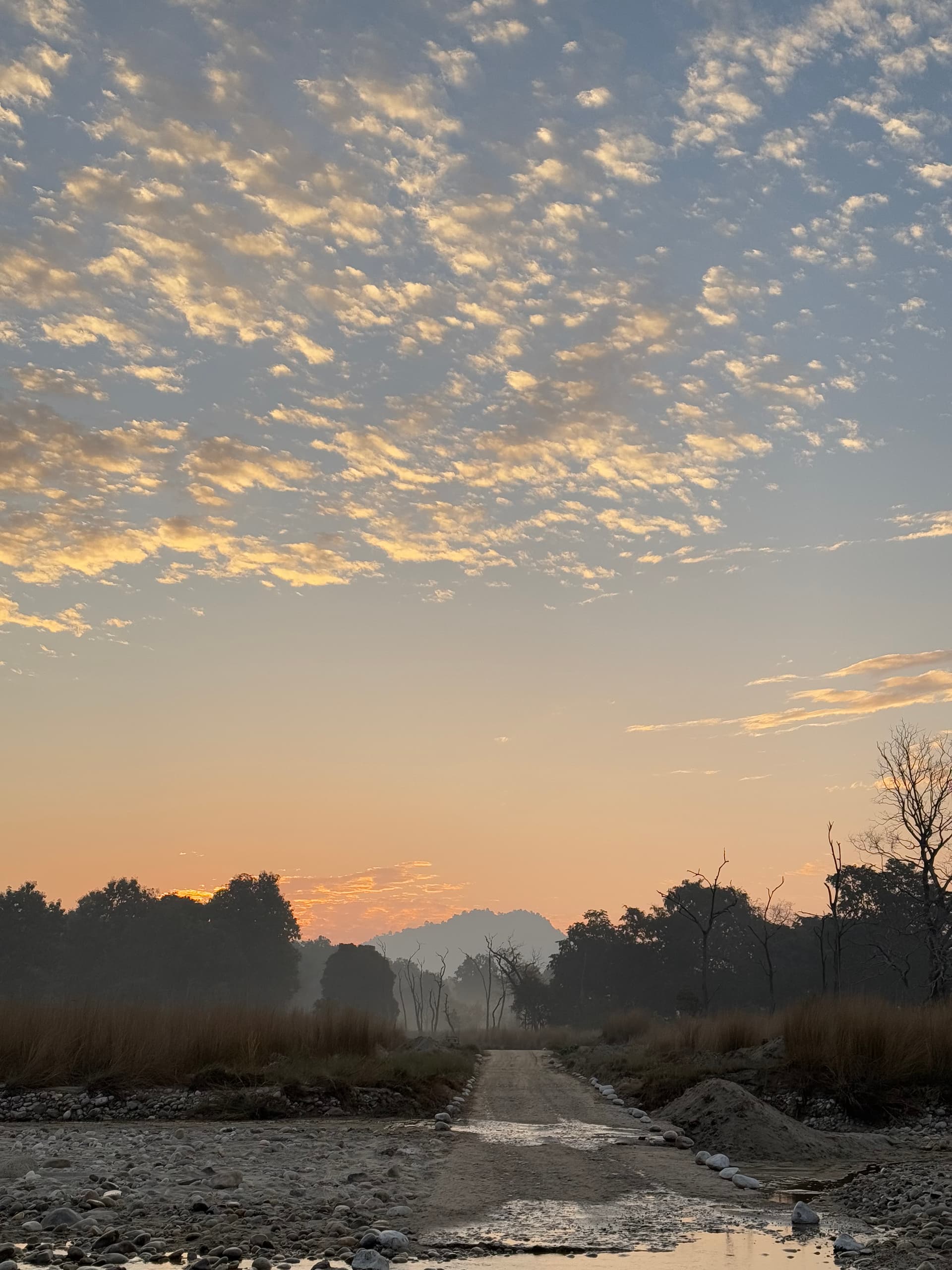 Jim Corbett National Park, Uttarakhand 
