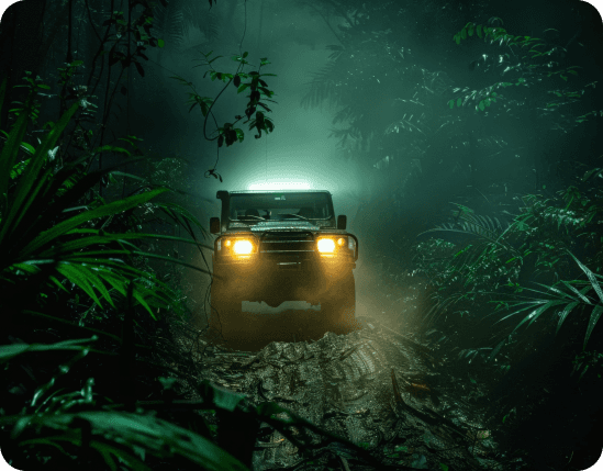 Night Safari