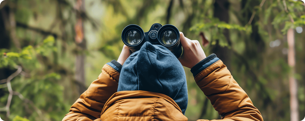 Wildlife Spotting Guide