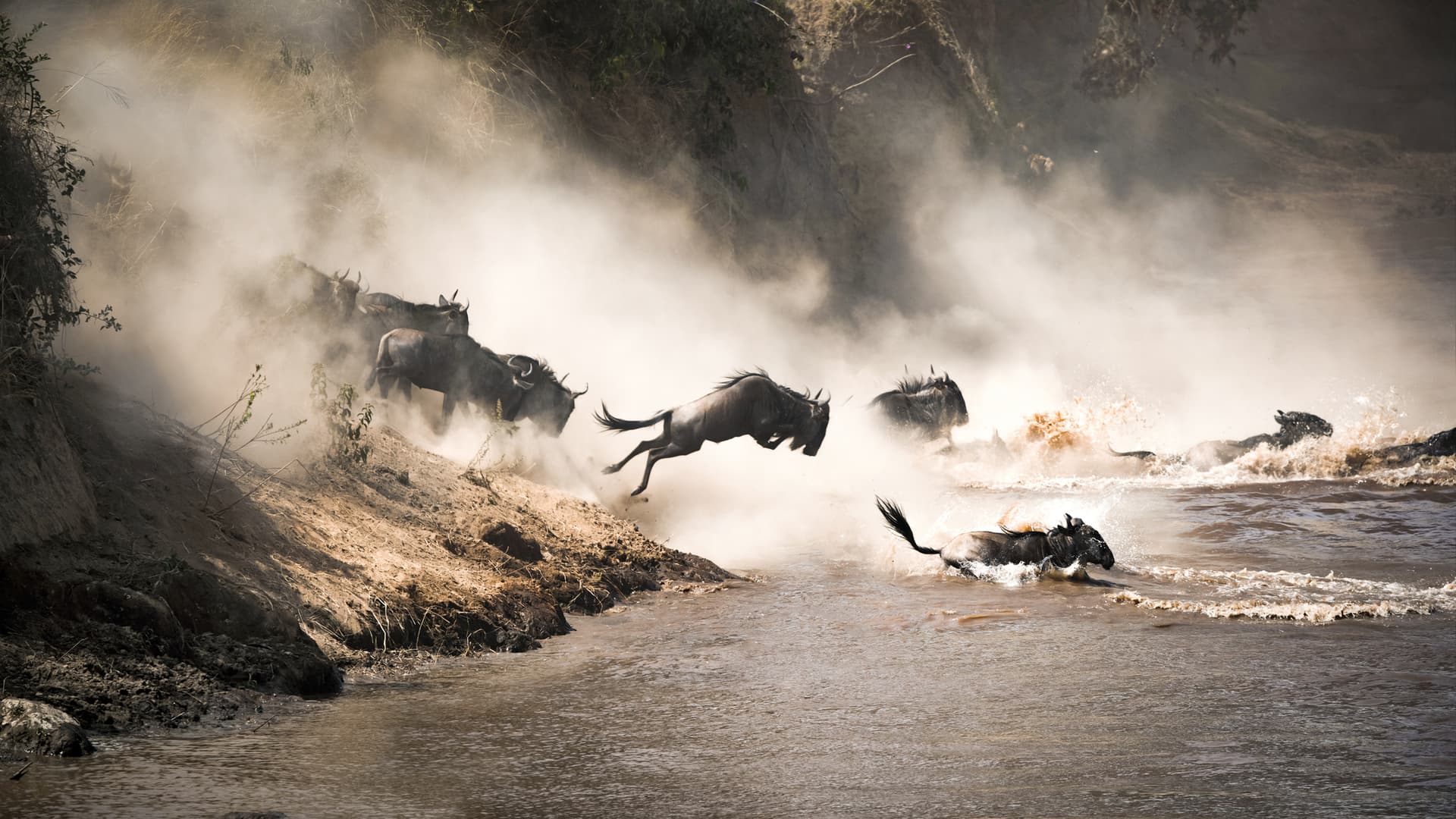 Masai Mara National Reserve, Kenya