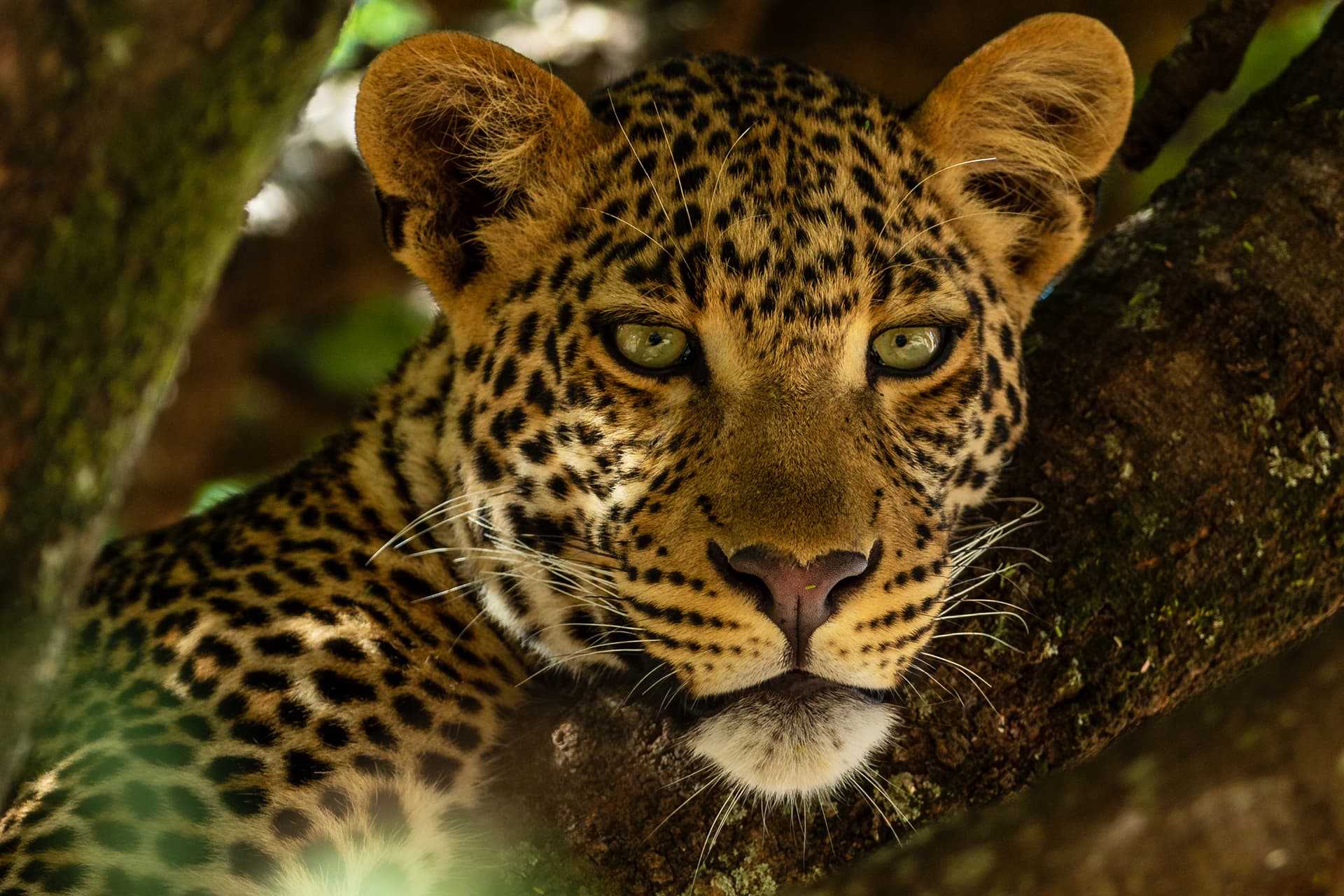 Rajaji National Park