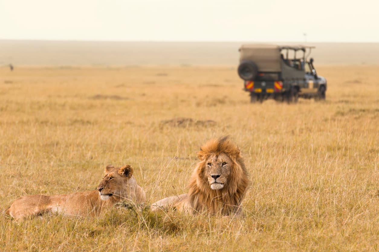 Masai Mara Expedition